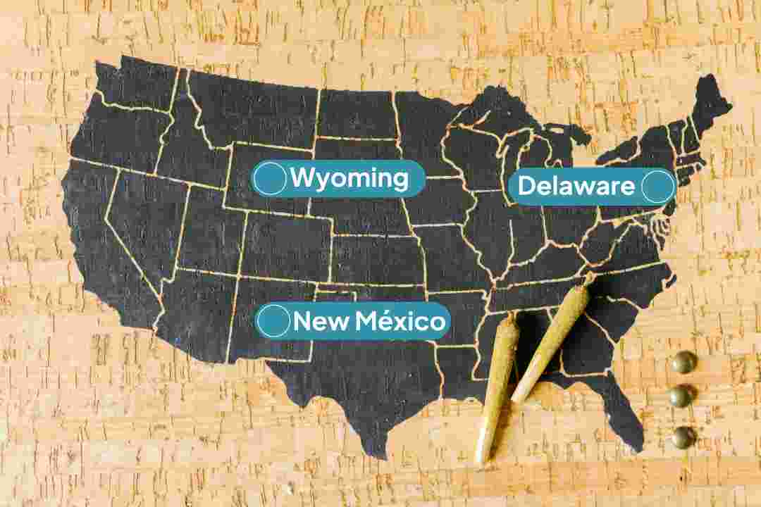 ¿Cuál es el Mejor Estado para Abrir tu LLC en Estados Unidos?